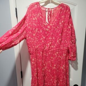 Sheer Dress w/Tank Dress